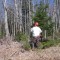 Pruning sugar maple to create a clear bole and add value to the tree.