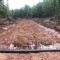 All ditches must move water to the low side of the road. The culvert has been placed in a bed cut through the hardpan, and the road bed is now ready for borrow material.