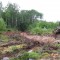 Take-off ditches address ponding water on the right-of-way and effectively raise the entire right-of-way above the natural height of the land.