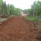 This road bed has been prepared for borrow material.  On this site, the ground and overburden were coarse and rocky.  As a result, overburden piles are small.