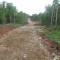 The borrow pit provided excellent material for this all-season road. The borrow material has been levelled and tramped for compaction.  This road can be used immediately by logging trucks, under any weather conditions.