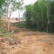 The right-of-way narrows to accommodate minimal disturbance at this stream culvert site.