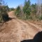 the road has been surfaced, ditched and crowned.  The road narrows where The stream culvert was placed because ground disturbance at the stream crossing site was kept to a minimum. Ditches must direct surface runoff away from the stream.