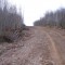 Note the bushes are piled neatly off to the side of the road, and the road is crowned with grassed removed.