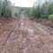 The completed road surface with organics removed and a slight crown.  This road will be solid with a week of sun and some light traffic to help cap the surface.